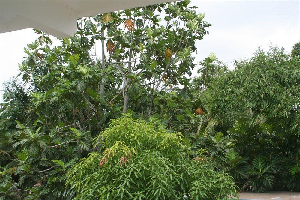 Pure Oasis Resort Negril Bagian luar foto