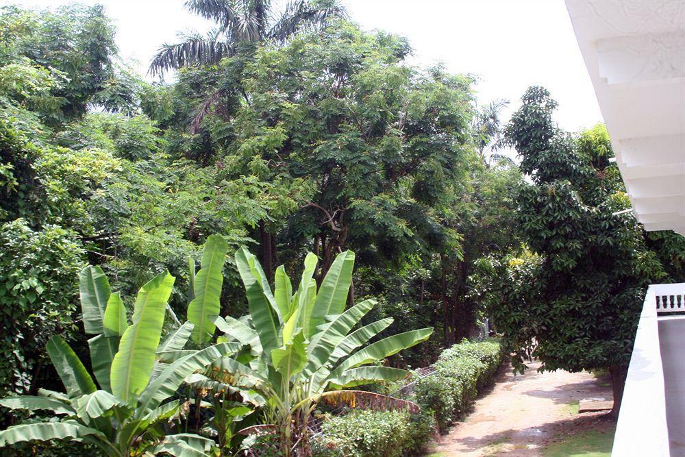 Pure Oasis Resort Negril Bagian luar foto